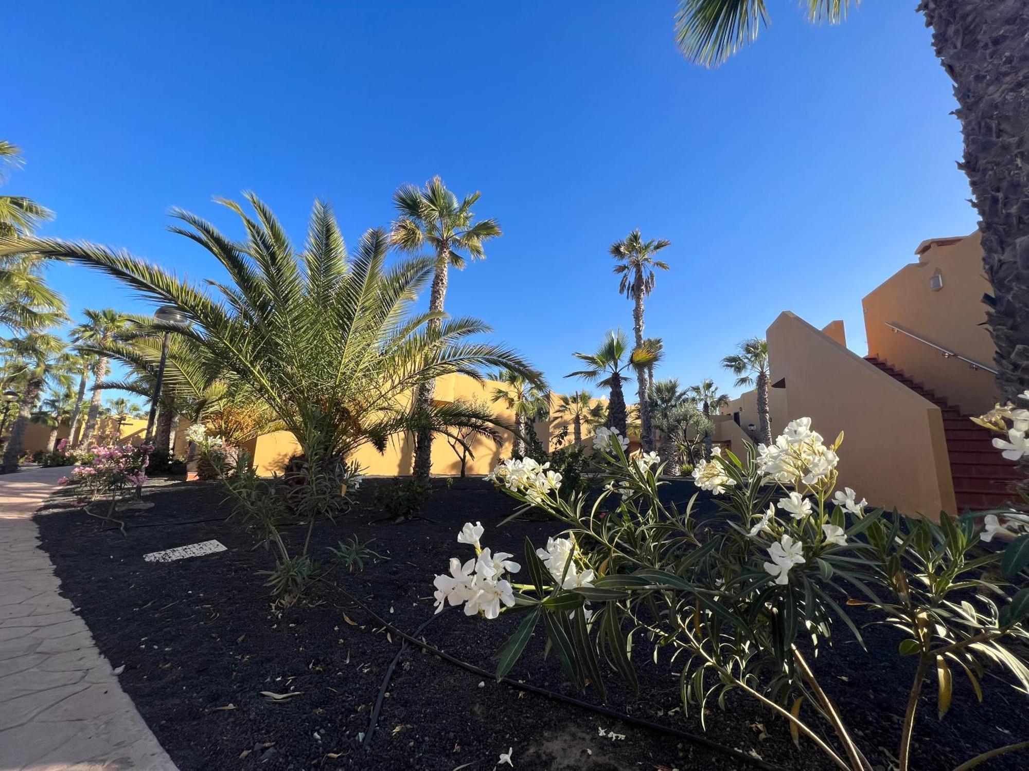 Casa De Leon Apartment Corralejo Bagian luar foto