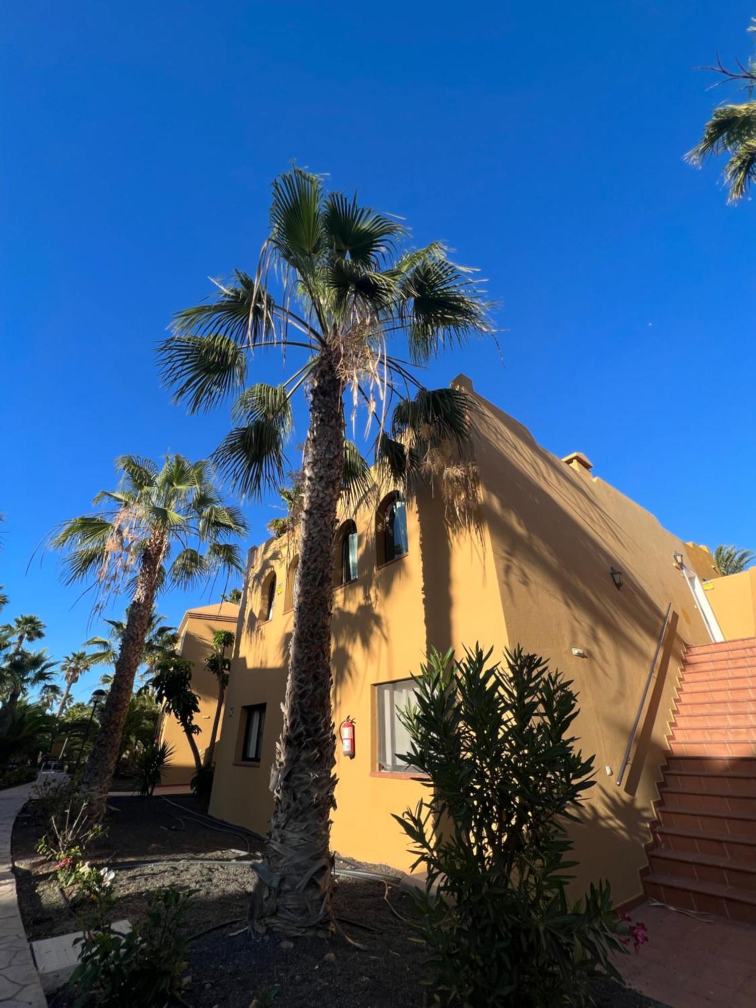Casa De Leon Apartment Corralejo Bagian luar foto